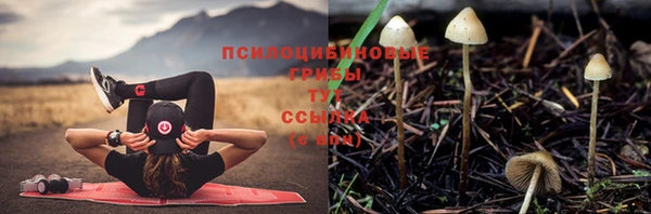 тгк Бородино