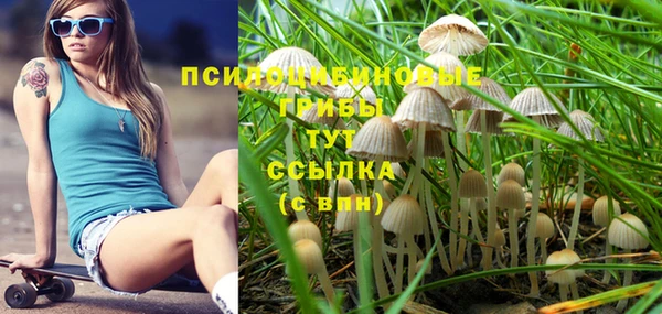 героин Богданович