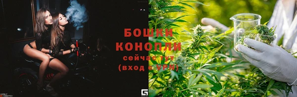 тгк Бородино