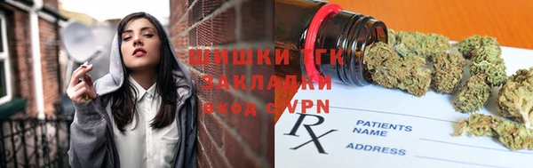 тгк Бородино