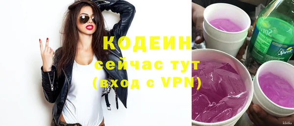 тгк Бородино