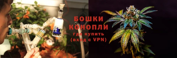 тгк Бородино