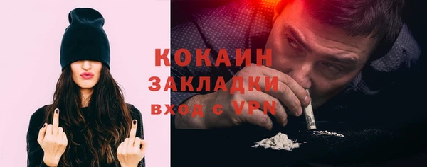 тгк Бородино