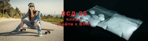 тгк Бородино