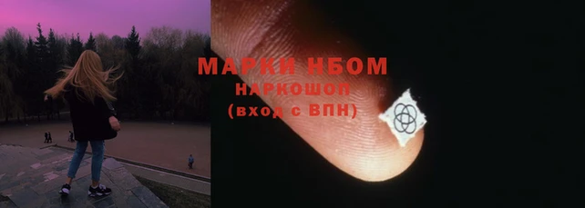 тгк Бородино
